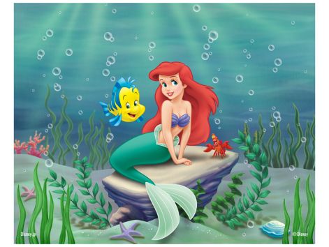 the-little-mermaid-disney-princess-9579764-1024-768.jpg